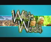 Bestand:WildeWereld(2003).jpg