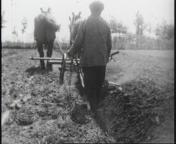 Vruchtbare bodem en nijvere handen.jpg