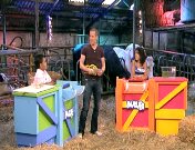 Baasjes (2008-2010).jpg