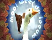 Mooi weer de leeuw titel.jpg