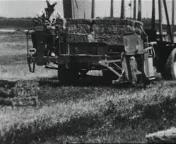 De toekomst is al begonnen (1965).jpg