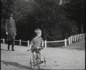 Familiefilm Ochse.jpg