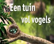 Een tuin vol vogels (2007) titel.jpg