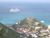 Tropisch koninkrijk (2010).jpg