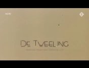 Tweeling,de.jpg
