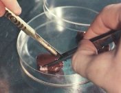 Gezonden gezond houden (1967).jpg