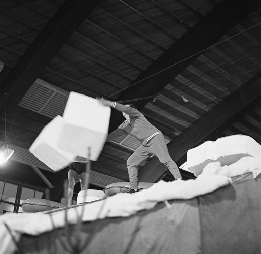 Bestand:FTA001014273 019 con.png