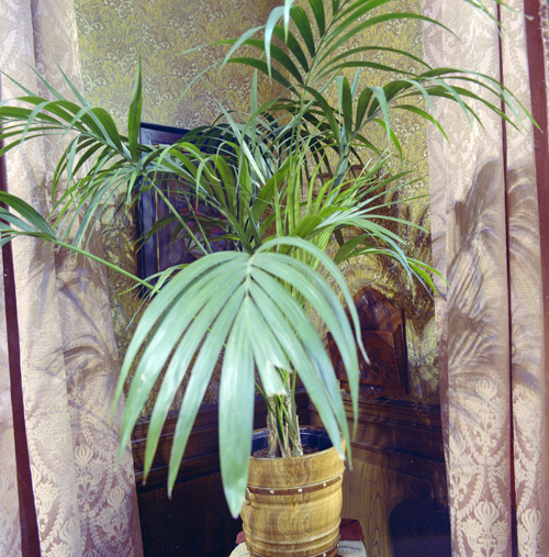 Bestand:75457-14 pos.png