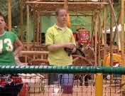 Wat doen wij met onze kinderen.jpg