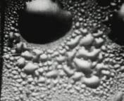 Bestand:Motto moire wonderen van schaduw en lijn.jpg