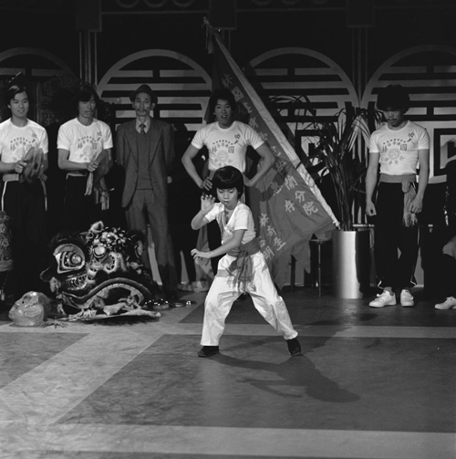 Bestand:FTA001032083 017 con.png