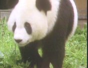 China van binnen en van buiten.jpeg