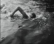 HPC bestaat 25 jaar.jpg