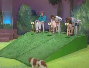 Baas boven baas2.jpg