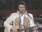 Elvis in concert 1.jpg