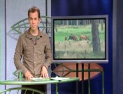 Nieuws uit de natuur01.jpeg