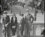 Familiefilm Ochse1.jpg