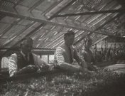 Aanvulling van de theevoorraad met lindebloesem.jpg