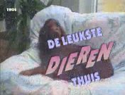 Leukste dieren thuis.jpeg