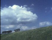 Laaglandse schetsen.jpg