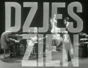 Dzjes zien titel.jpg