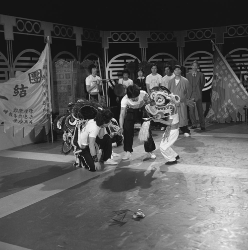 Bestand:FTA001032080 016 con.png