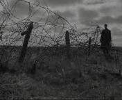 Ontluisterd land.jpg