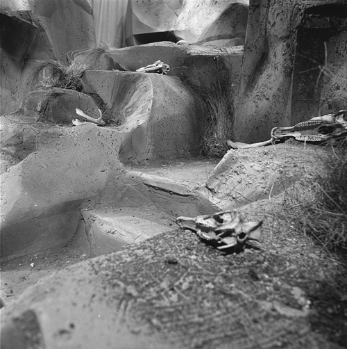 Bestand:FTA001017100 021 con.png