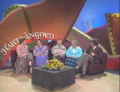 Hart van goud (1989).jpg