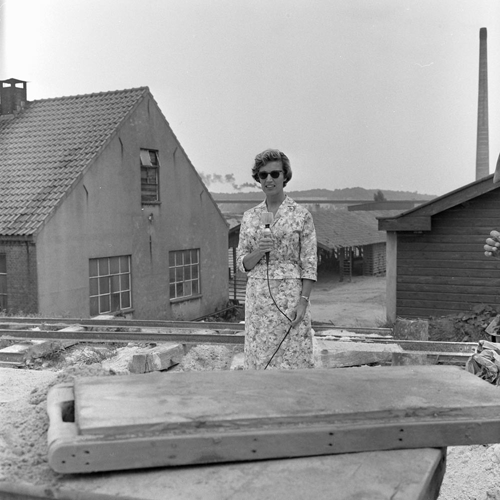 Bestand:FTA001005988 006 con.png