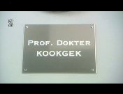Prof. dokter kookgek 1.jpg