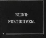 Rijkspostduiven titel.jpg
