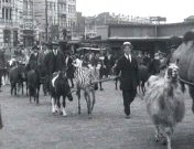Aankomst Circus Hagenbeck 2.jpg