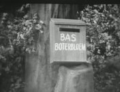 Bas Boterbloem titel.jpg