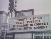 Elvis in concert.jpg