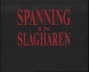 Spanning in slagharen titel.jpg