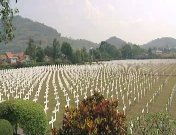 Want elk graf heeft zn verhaal.jpg