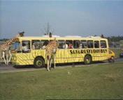 In een safari-bus door de Beekse Bergen01.jpeg