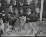 Jonge dieren in Rivierahal Blijdorp.jpeg