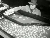 Aardappelwasmachine in gebruik genomen.jpg