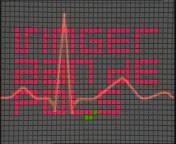 Vinger aan de pols titel 1981.jpg