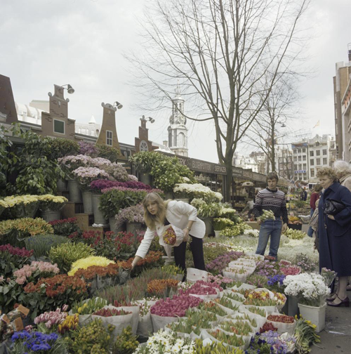 Bestand:FTA001040061 002 con.png