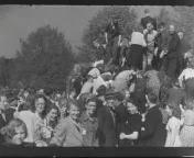 Bevrijding Veluwe.jpg