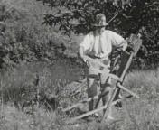 Parijs en dans le midi.jpg