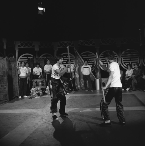 Bestand:FTA001032080 020 con.png