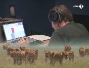 Totstandkoming van Addo01.jpeg