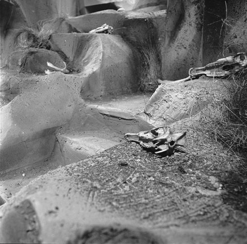 Bestand:FTA001017100 018 con.png