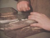 Iedereen op zijn manier.jpg