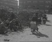 Verwoesting Rotterdam1.jpg