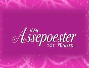 Van Assepoester tot prinses (2007) titel.jpg